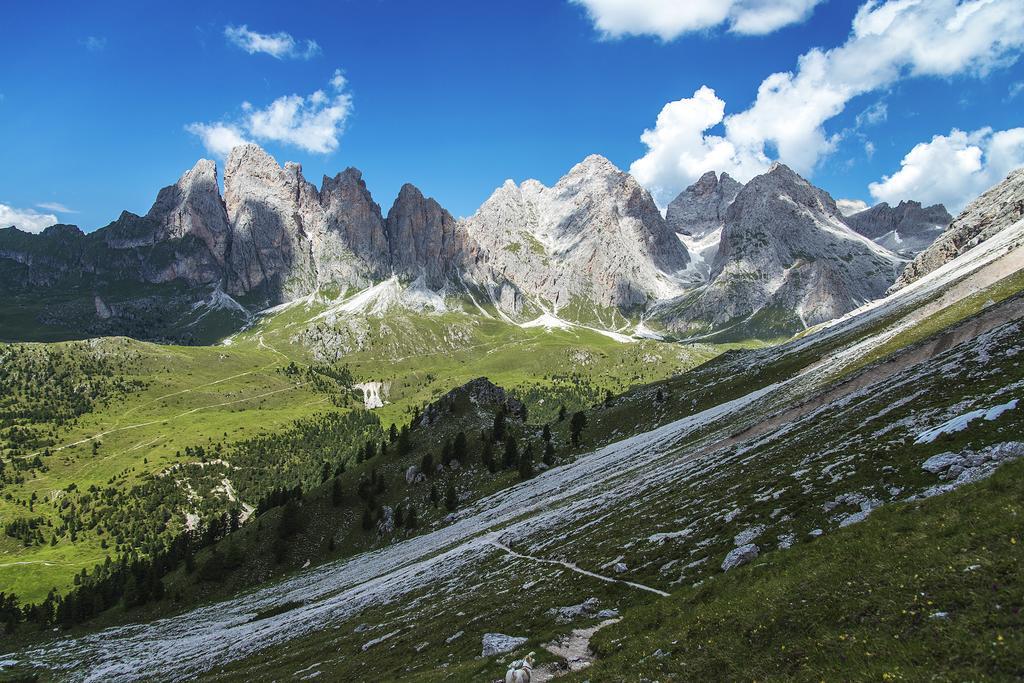 Garni Geier 3* Santa Cristina Val Gardena
