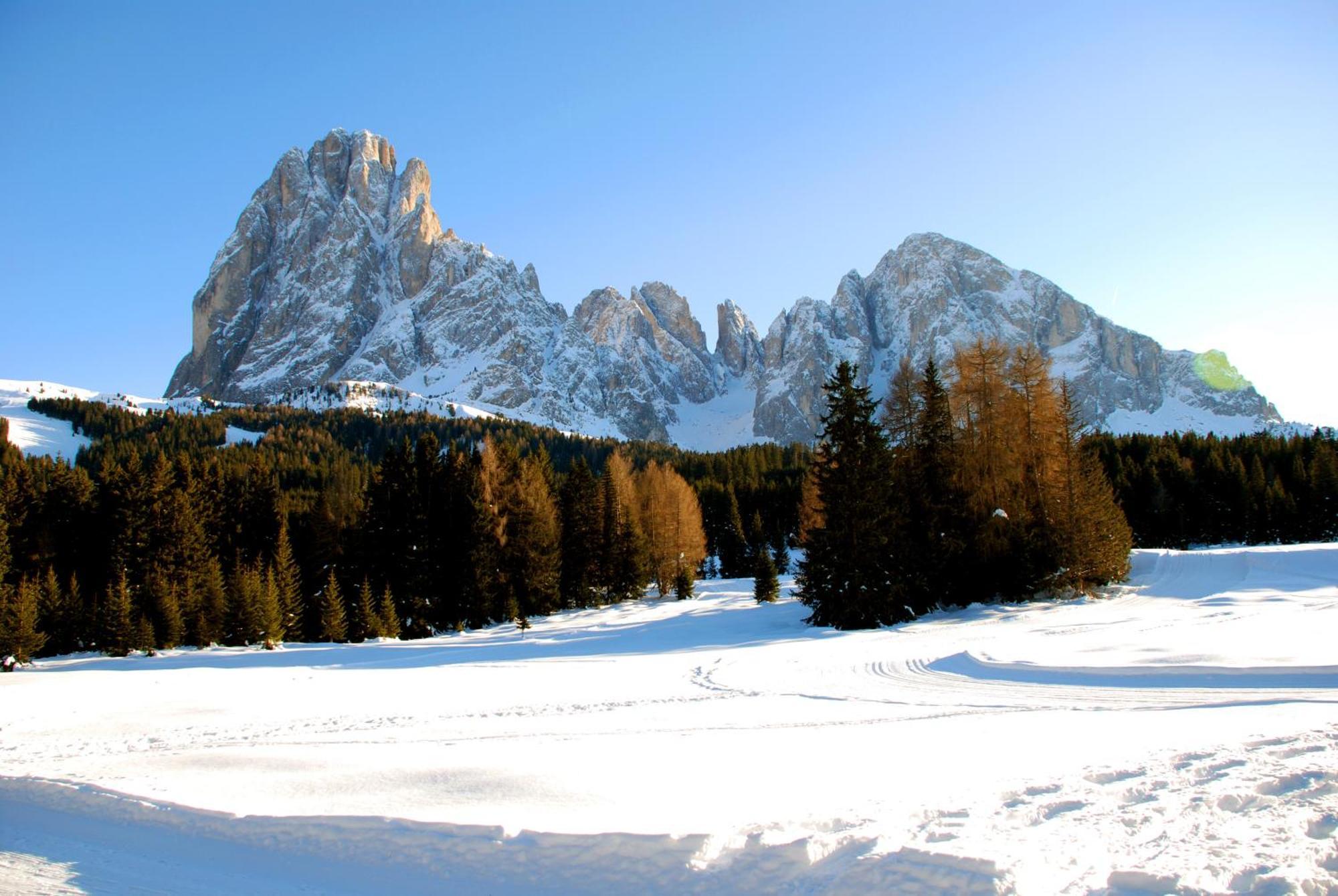 Garni Geier 3* Santa Cristina Val Gardena
